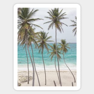 Tropical Summer Beach Sticker